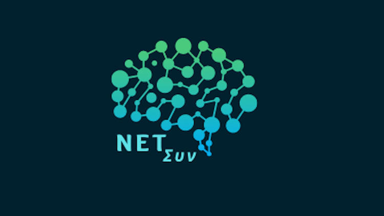 NetSyn lab logo